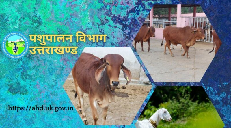 भारतीय सेना अब पशुपालन विभाग के माध्यम से प्रदेश के स्थानीय किसानों से पोल्ट्री उत्पादों की खरीद करेगी : नीरज सिंघल निदेशक पशुपालन विभाग उत्तराखंड