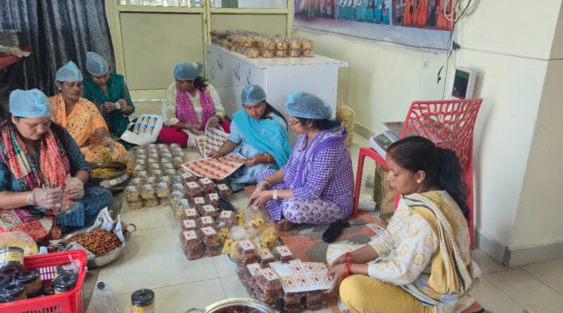 स्वयं सहायता समूह की 1700 महिलाओं को मिला मुख्यमंत्री सशक्त बहन उत्सव योजना के अंतर्गत रोजगार