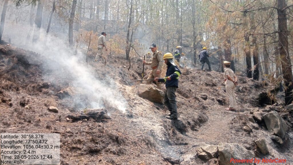 चकराता वन प्रभाग में भड़की आग, 50 कर्मियों ने मोर्चा संभाल बचाए सैकड़ों हेक्टेयर जंगल