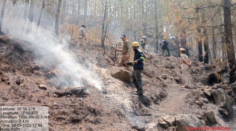 चकराता वन प्रभाग में भड़की आग, 50 कर्मियों ने मोर्चा संभाल बचाए सैकड़ों हेक्टेयर जंगल