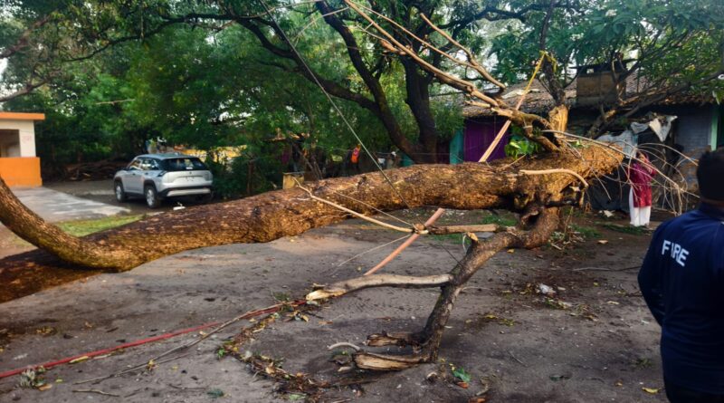तेज तूफान से गिरे पेड़, लगी आग… अलर्ट मोड में दिखी दून फायर सर्विस