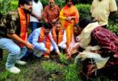 एक पेड़ माँ के नाम’ अभियान: मातृ सम्मान और पर्यावरण संरक्षण का संदेश, भाजपा एनजीओ प्रकोष्ठ का वृक्षारोपण कार्यक्रम