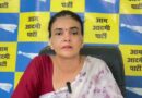 E20 पेट्रोल पर AAP का हमला, केंद्र से फैसला वापस लेने की मांग