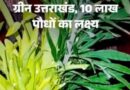 हरेला पर्व पर पहली बार बनेगा एक्शन प्लान, उत्तराखंड में 10 लाख पौधे लगाने का लक्ष्य