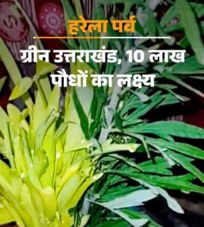 हरेला पर्व पर पहली बार बनेगा एक्शन प्लान, उत्तराखंड में 10 लाख पौधे लगाने का लक्ष्य