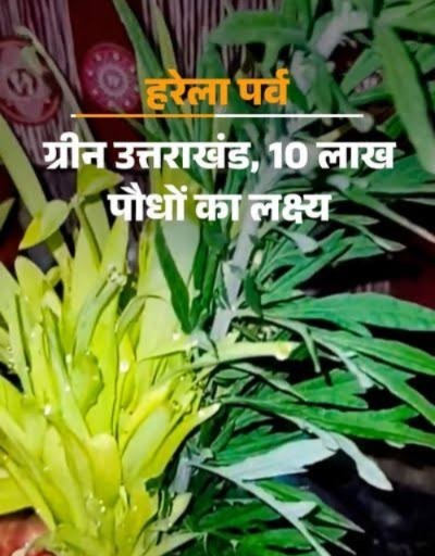 हरेला पर्व पर पहली बार बनेगा एक्शन प्लान, उत्तराखंड में 10 लाख पौधे लगाने का लक्ष्य