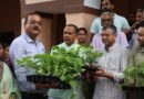 हरेला पर नगर निगम देहरादून का हरित संकल्प, 5 लाख सब्जी के पौधों के वितरण अभियान का शुभारंभ