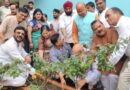धार्मिक अनुष्ठानों और सेवा कार्यों के साथ मनाया गया भाजपा प्रदेश अध्यक्ष महेंद्र भट्ट का जन्मदिन
