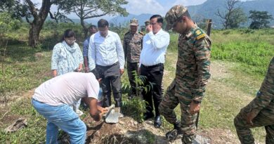 देहरादून की हरियाली पर MDDA का बड़ा दांव, पौधों को मिली सुरक्षा की गारंटी